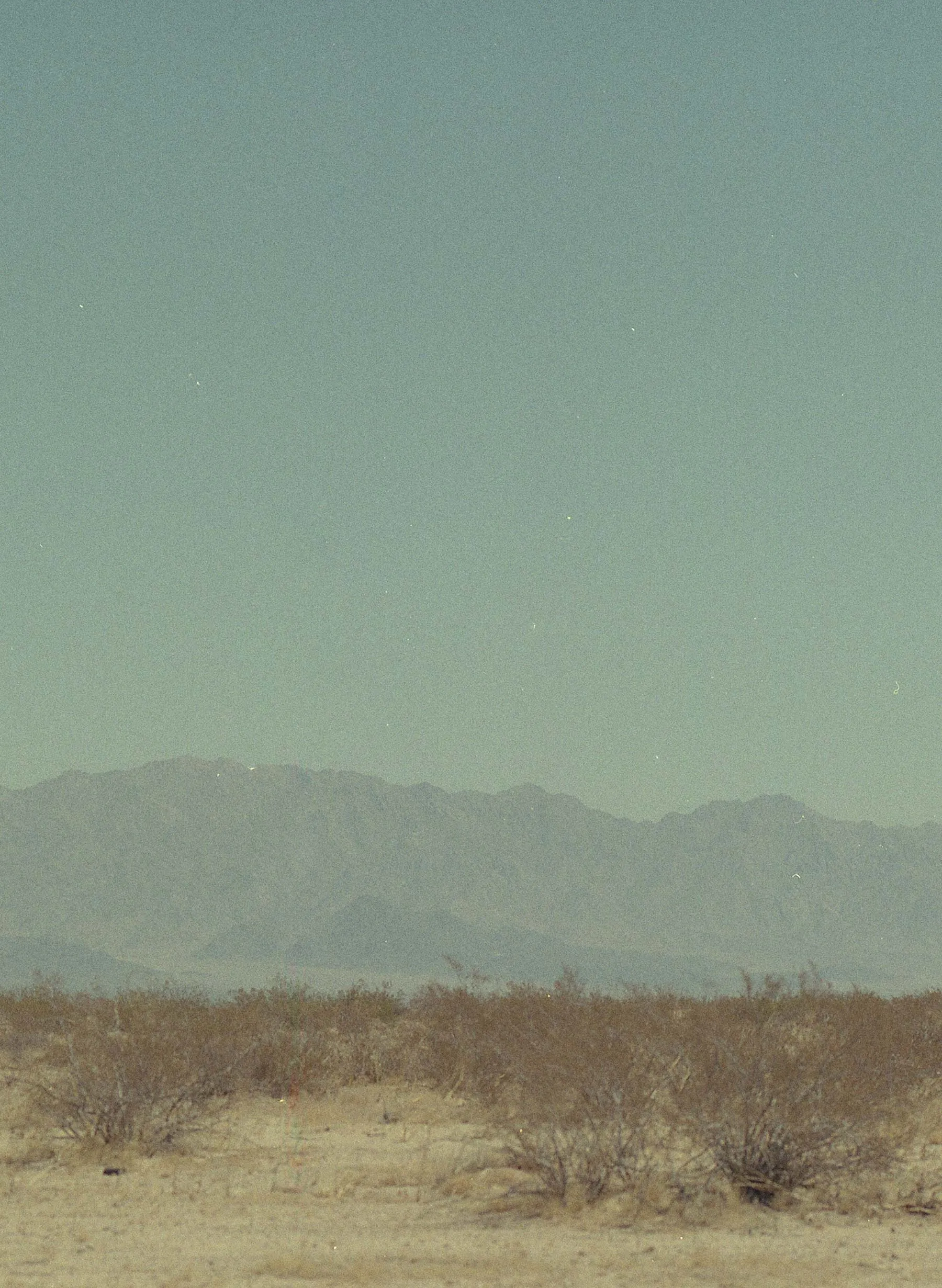 clarke canvas workpant sold by Imogene + Willie product image thumbnail 5