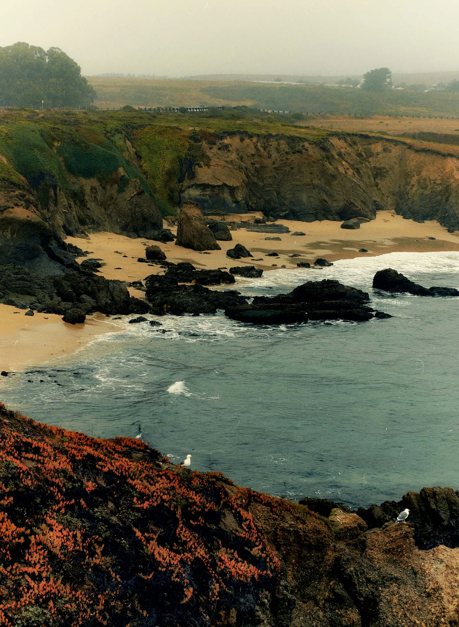 ada pasadena sold by Imogene + Willie product image thumbnail 5