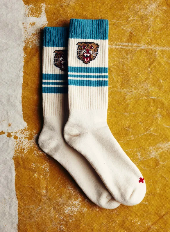 the "wildcat" sock sold by Imogene + Willie