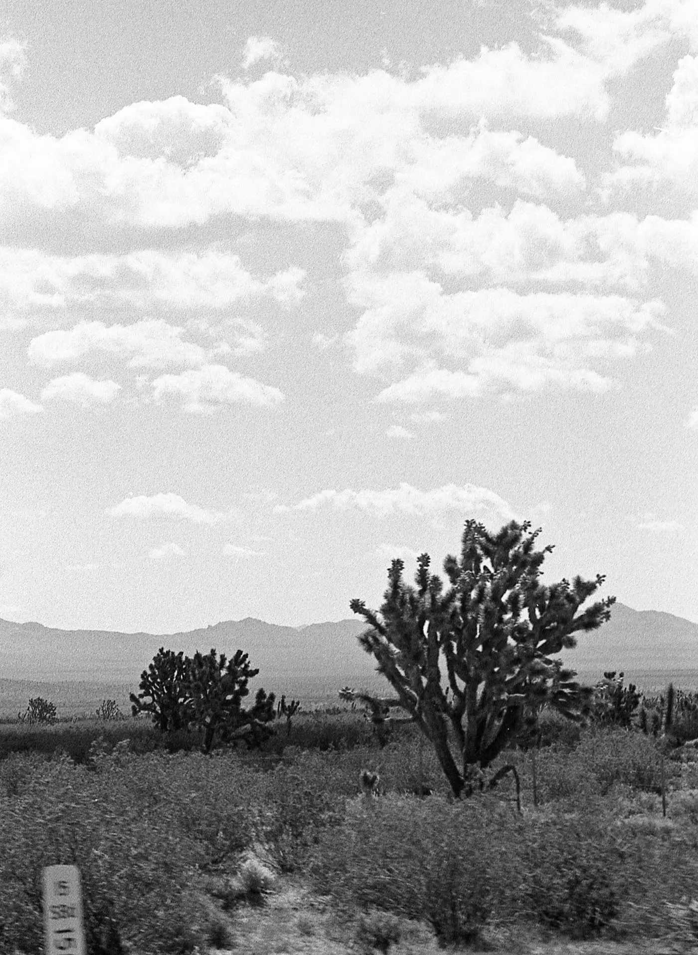 the "come home" tee sold by Imogene + Willie product image thumbnail 4