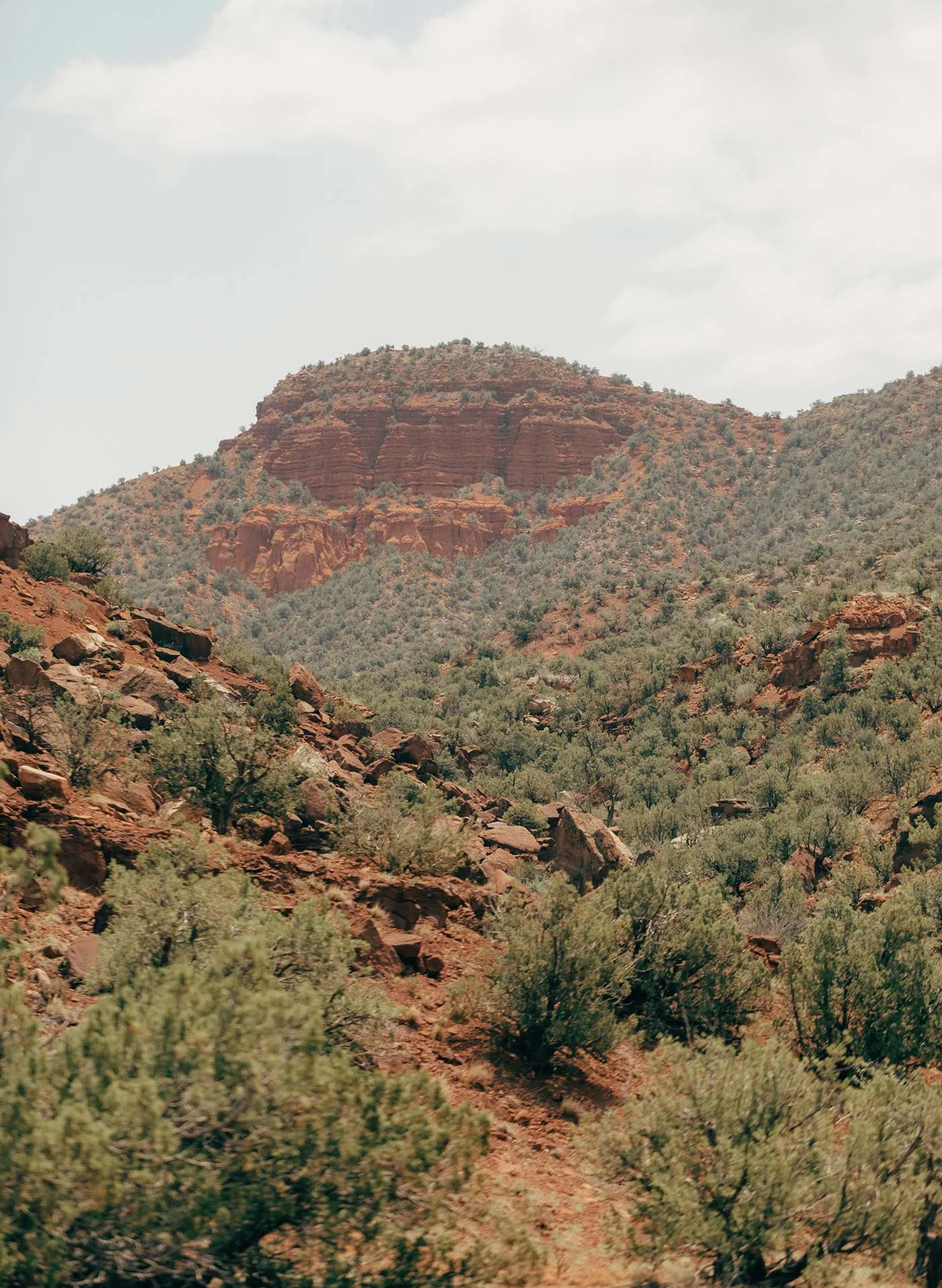 the ojai robe in mesa stripe sold by Imogene + Willie product image thumbnail 5