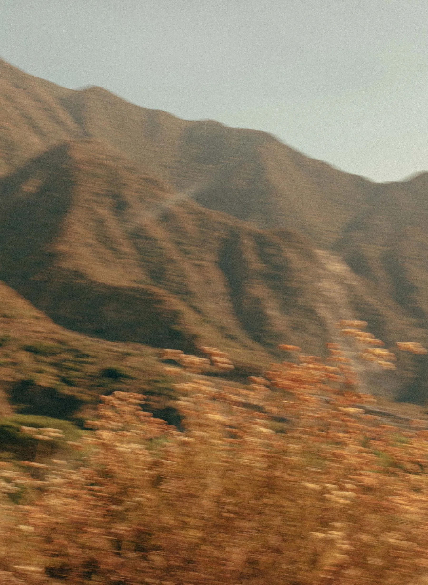 imogene slim taylor sold by Imogene + Willie product image thumbnail 5