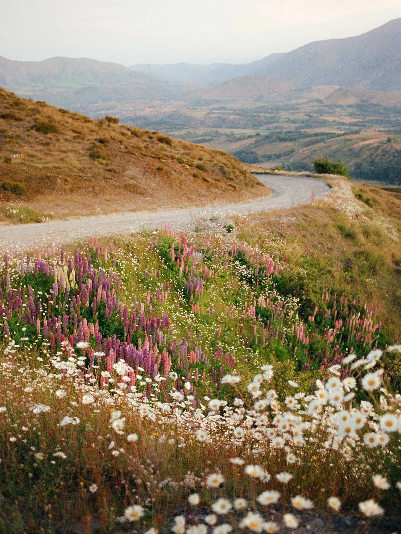 wyatt valdez sold by Imogene + Willie product image thumbnail 5