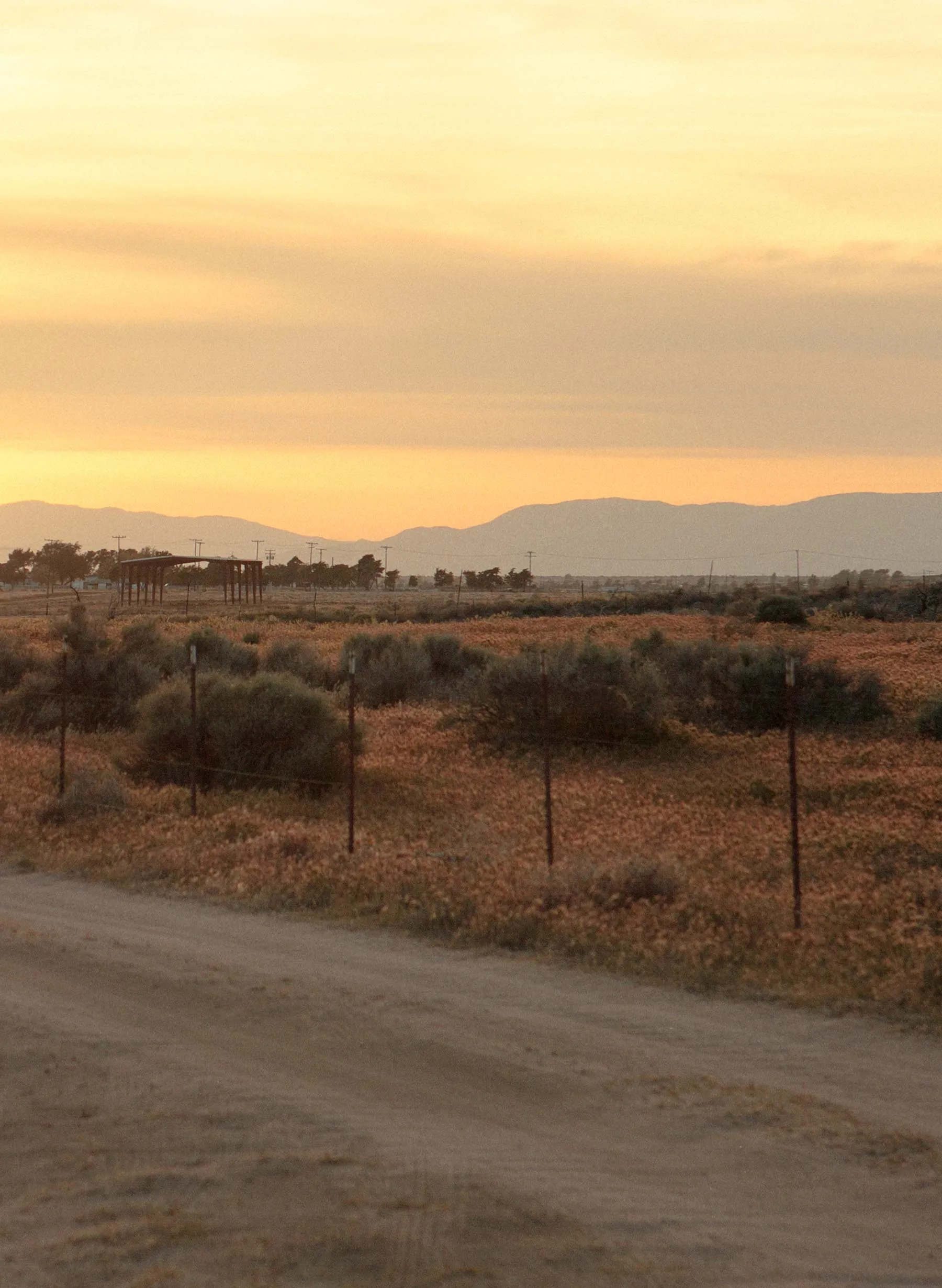 the lounge pant in faded black sold by Imogene + Willie product image thumbnail 5