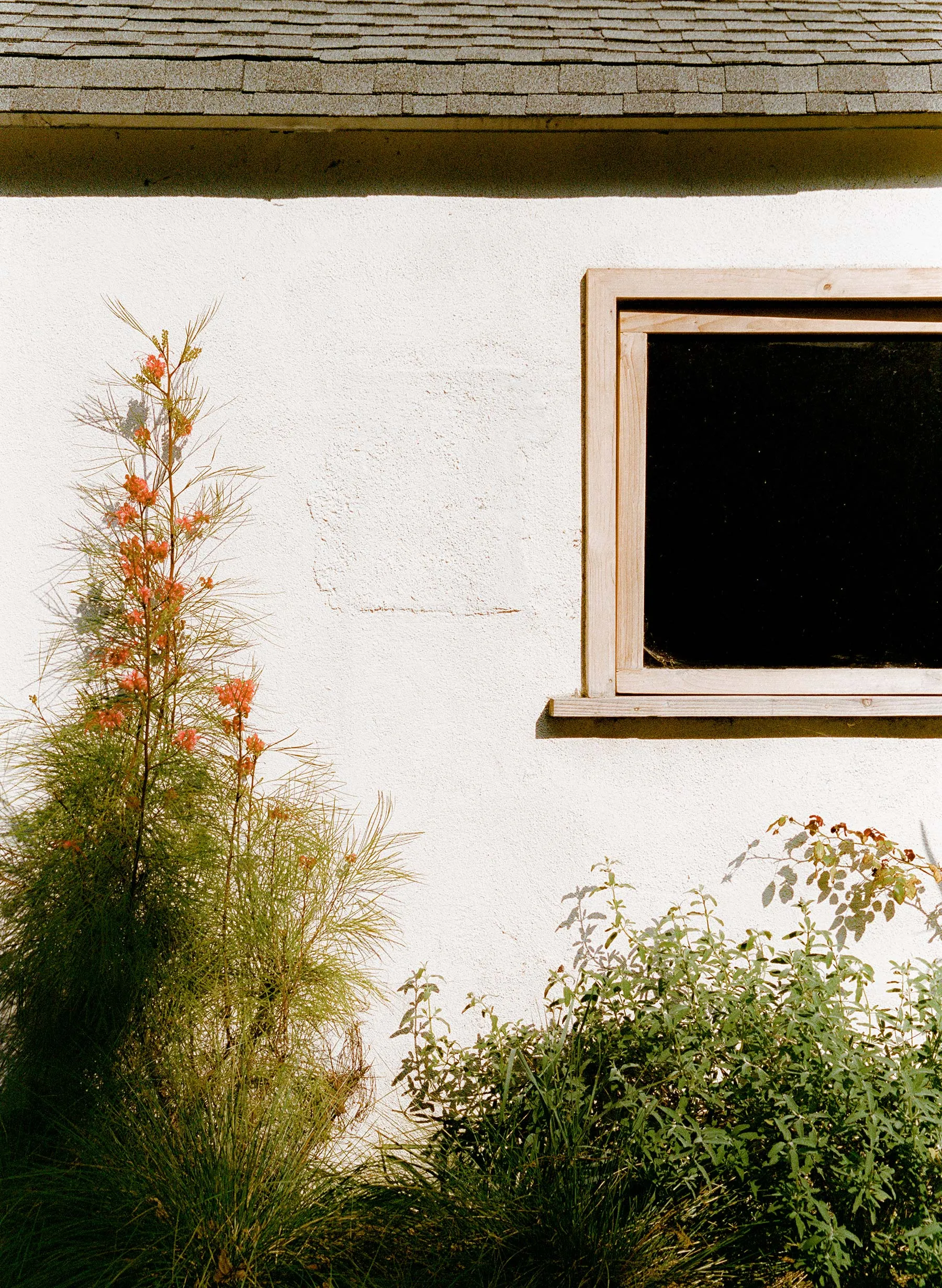 catherine abilene sold by Imogene + Willie product image thumbnail 5