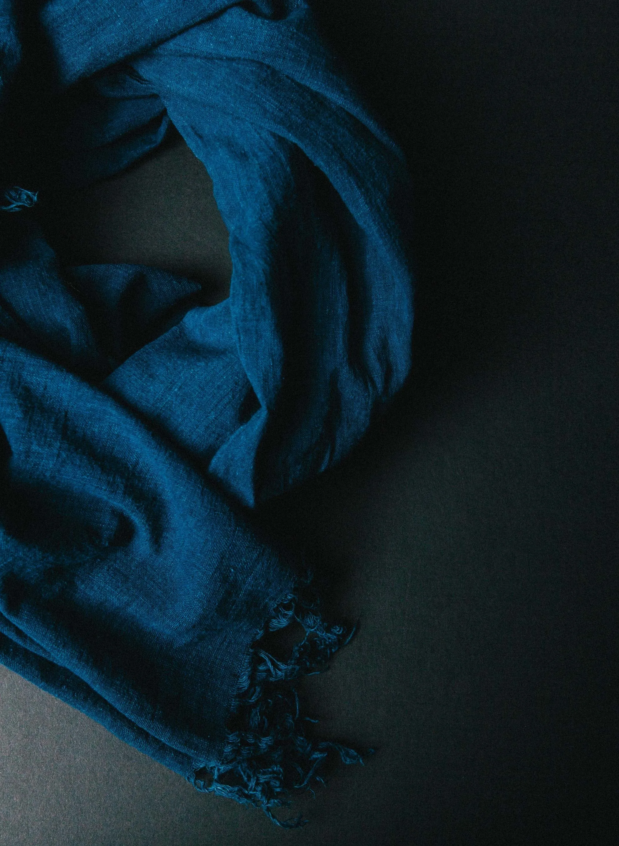 indigo dupatta sold by Imogene + Willie product image thumbnail 5