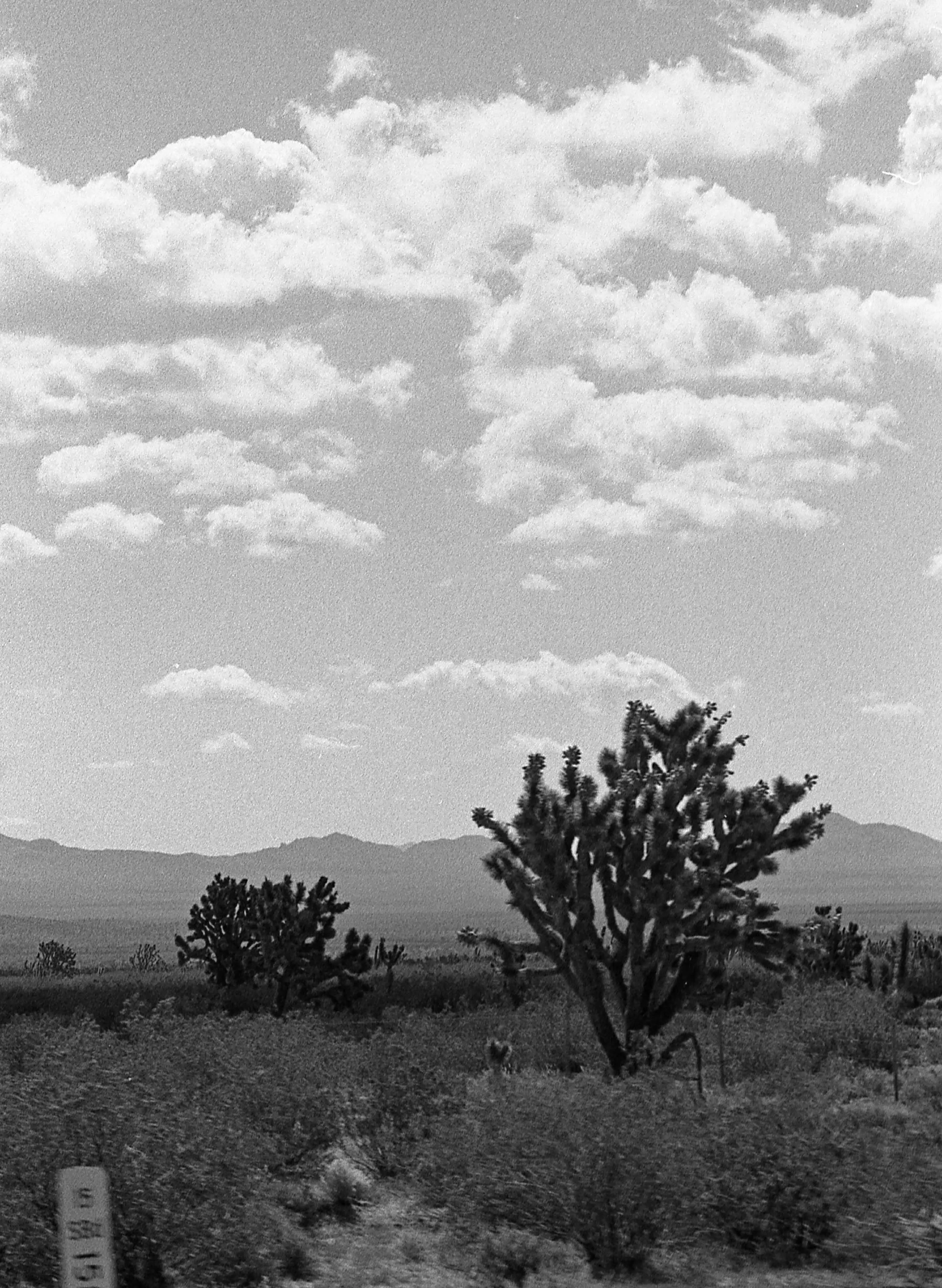 the "headed nowhere" tee sold by Imogene + Willie product image thumbnail 5