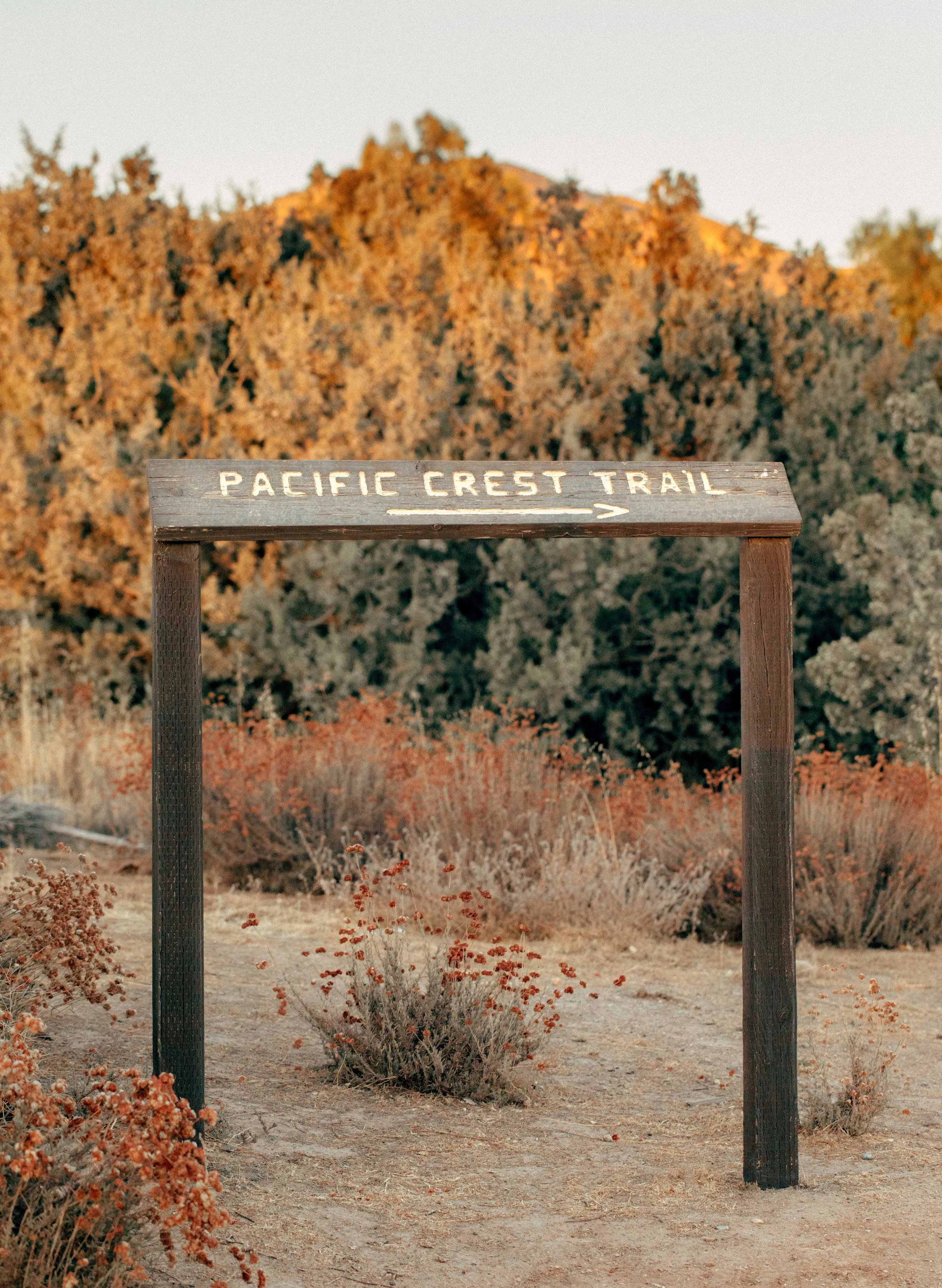 the "strange days" tee sold by Imogene + Willie product image thumbnail 5