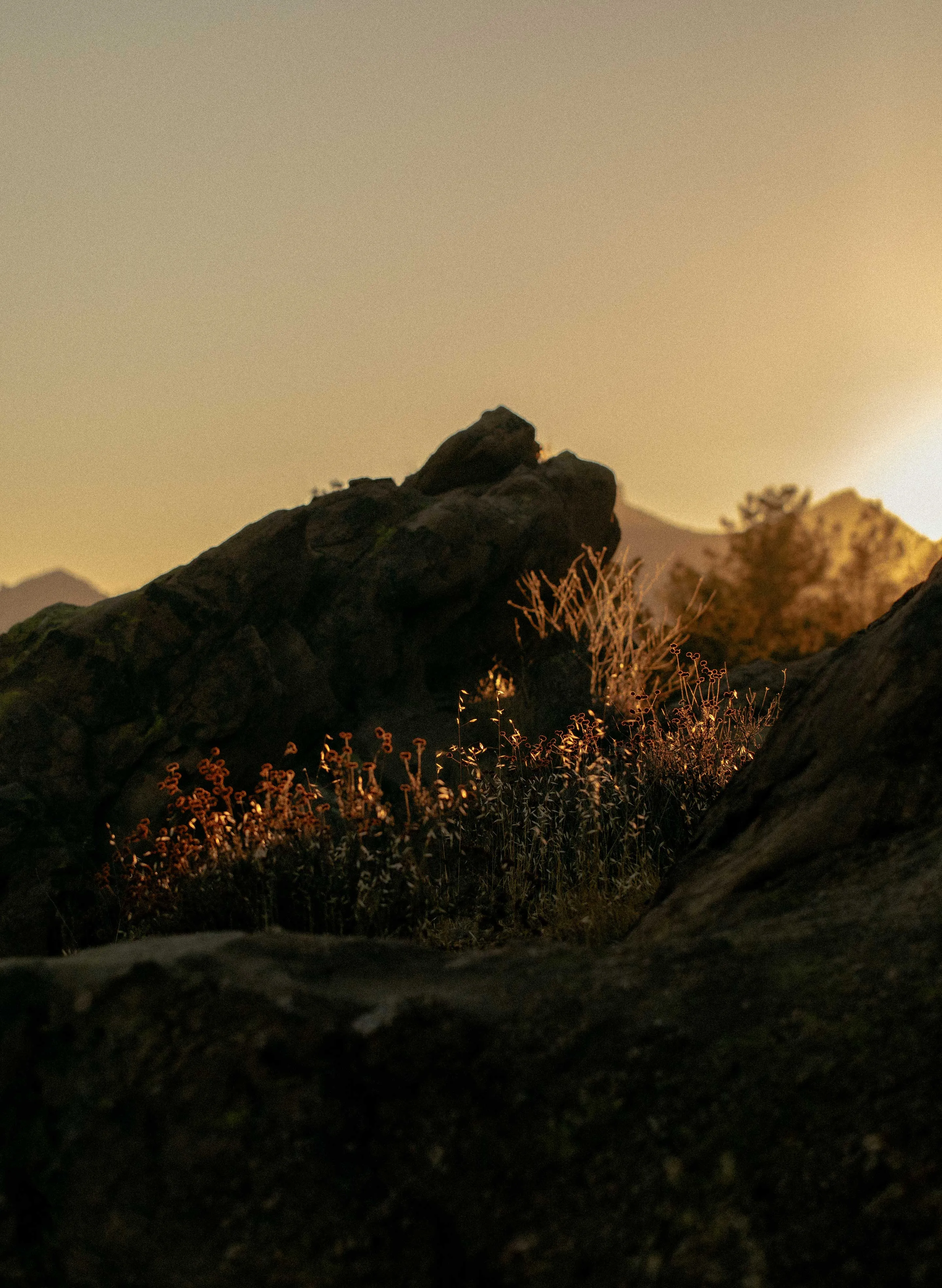 the "godspeed" tee in vintage white sold by Imogene + Willie product image thumbnail 5