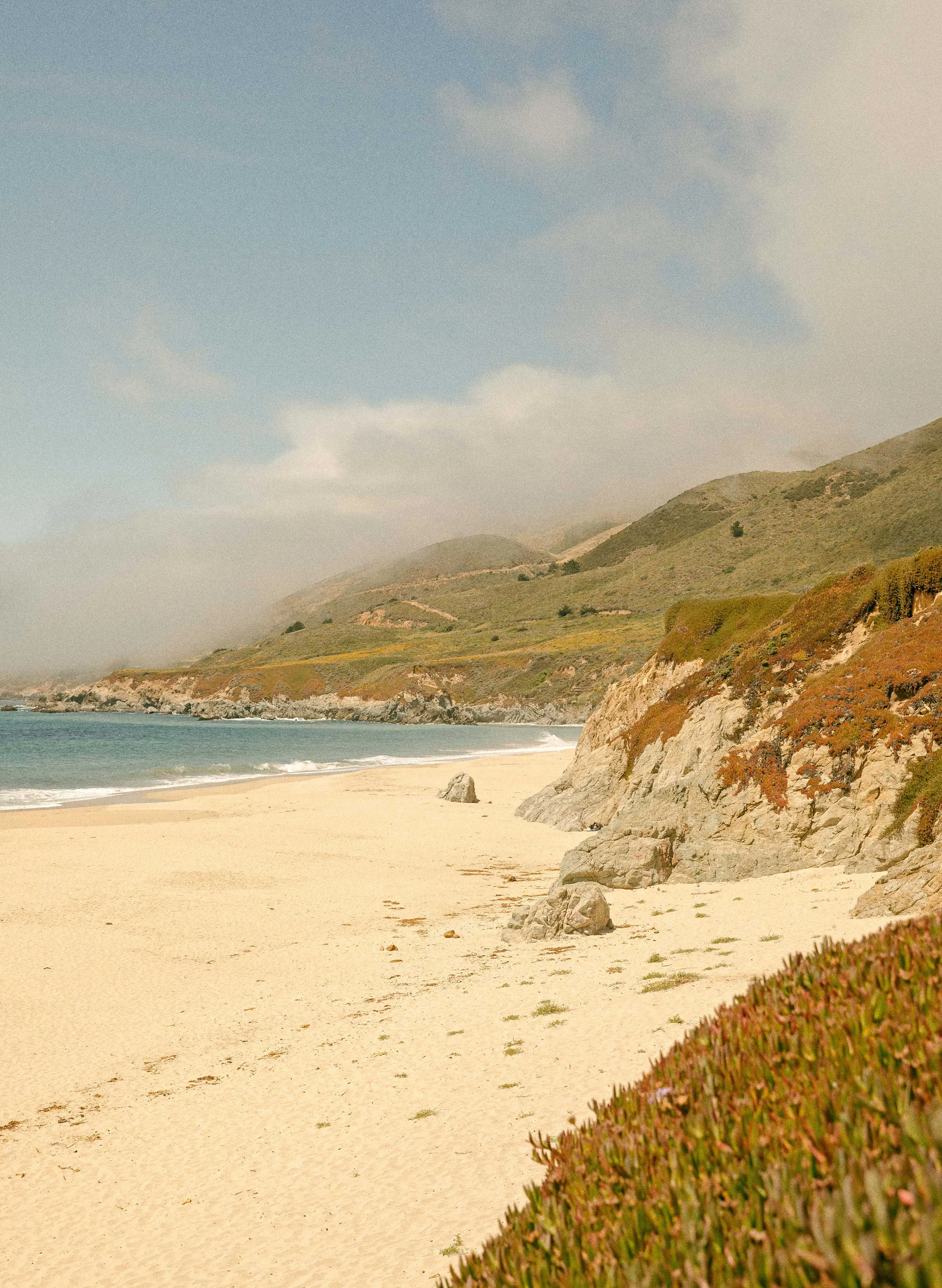 emil erwin narrow signature belt in walnut sold by Imogene + Willie product image thumbnail 5