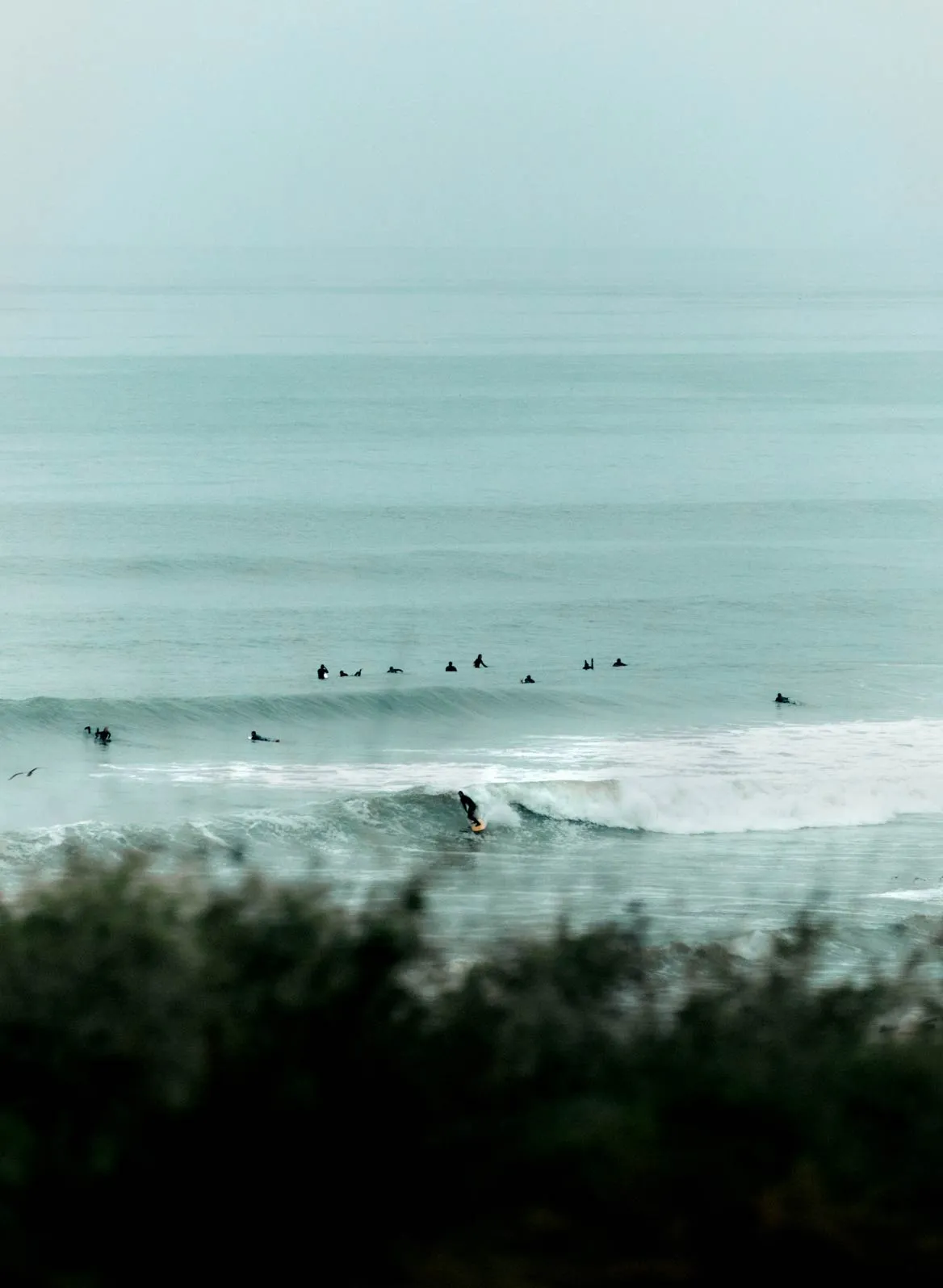 catherine indigo selvage rinse sold by Imogene + Willie product image thumbnail 5