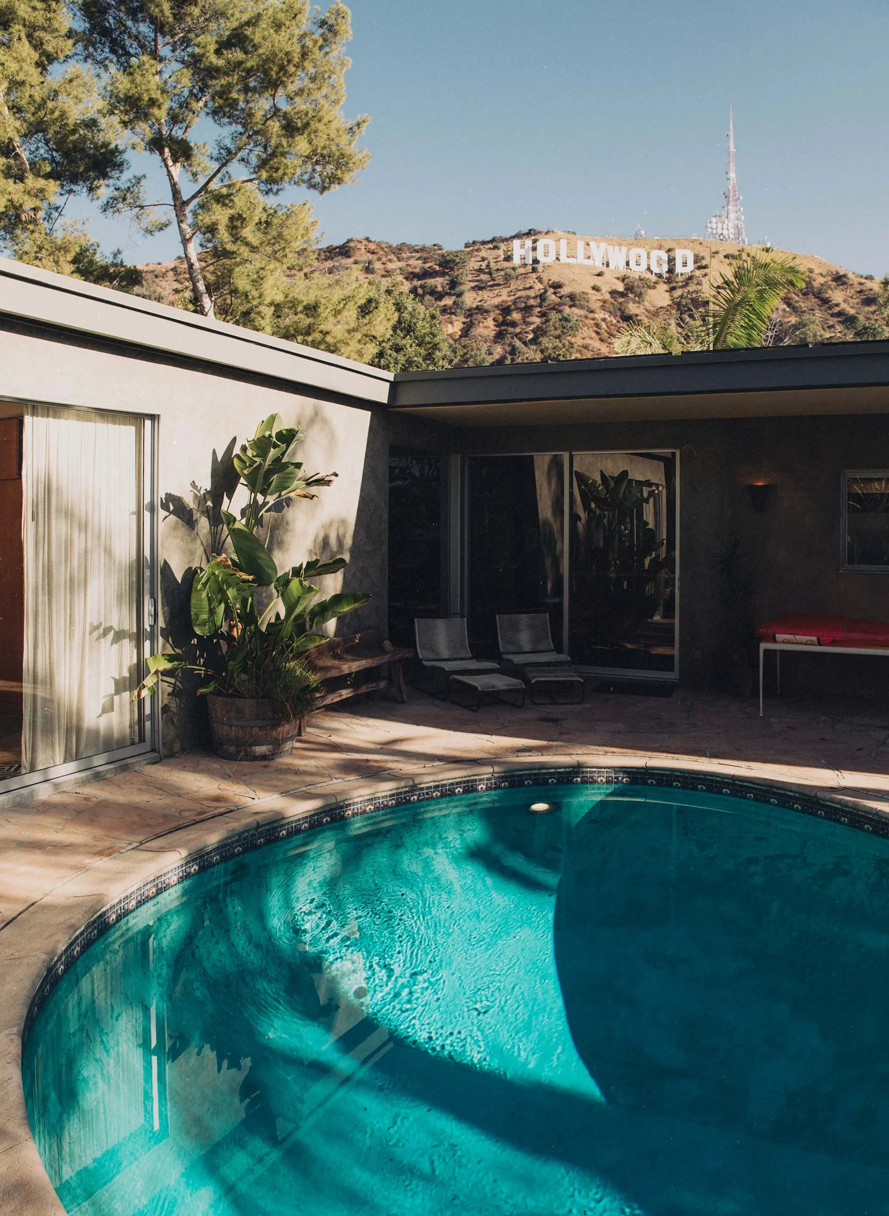 willie indigo rigid jp sold by Imogene + Willie product image thumbnail 5