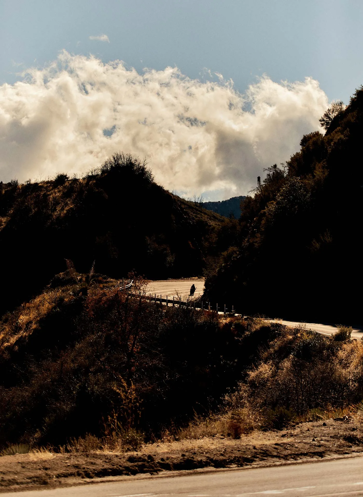 charlie indigo rigid jp sold by Imogene + Willie product image thumbnail 5