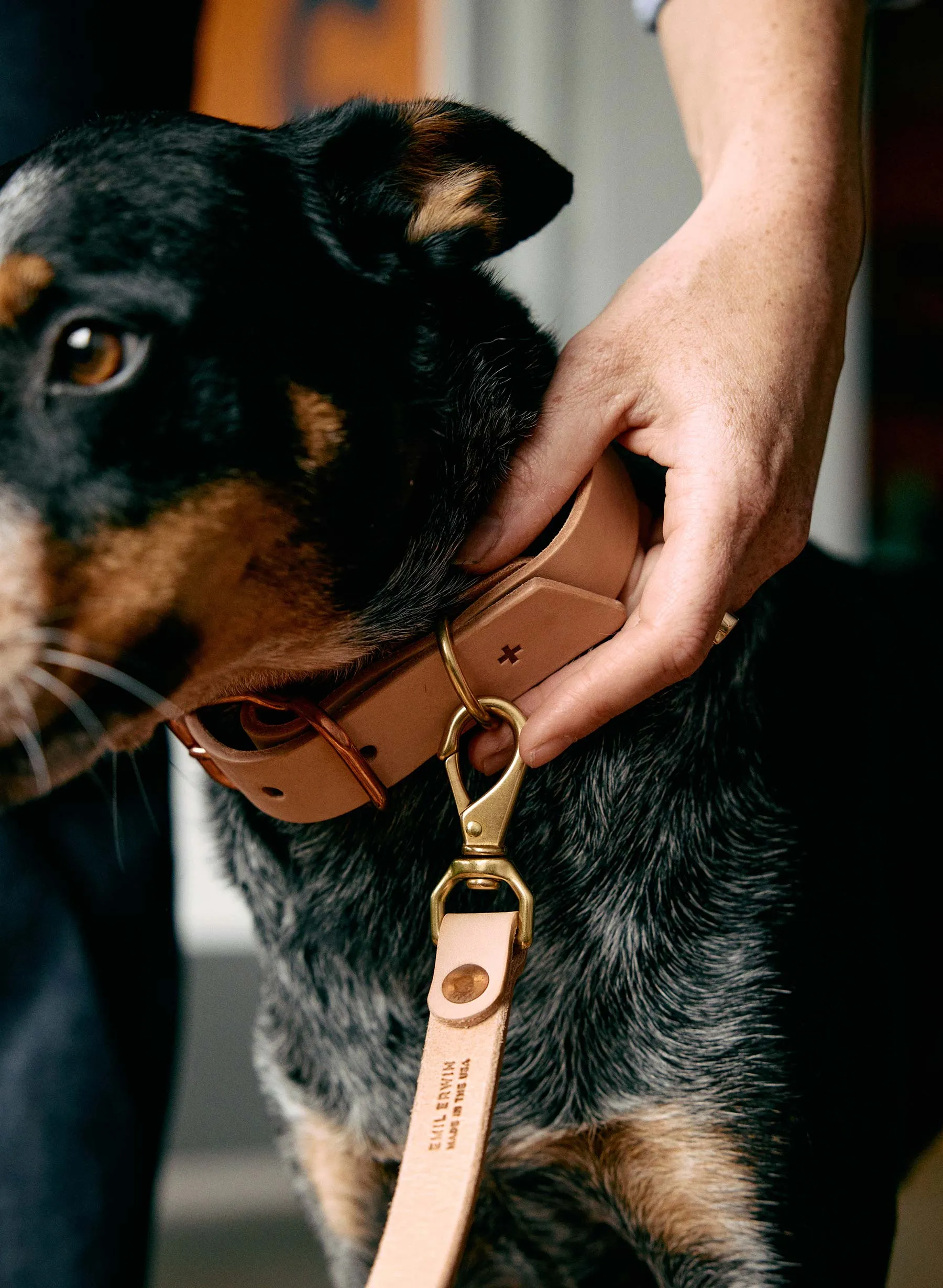 emil erwin x i+w dog leash sold by Imogene + Willie product image thumbnail 5