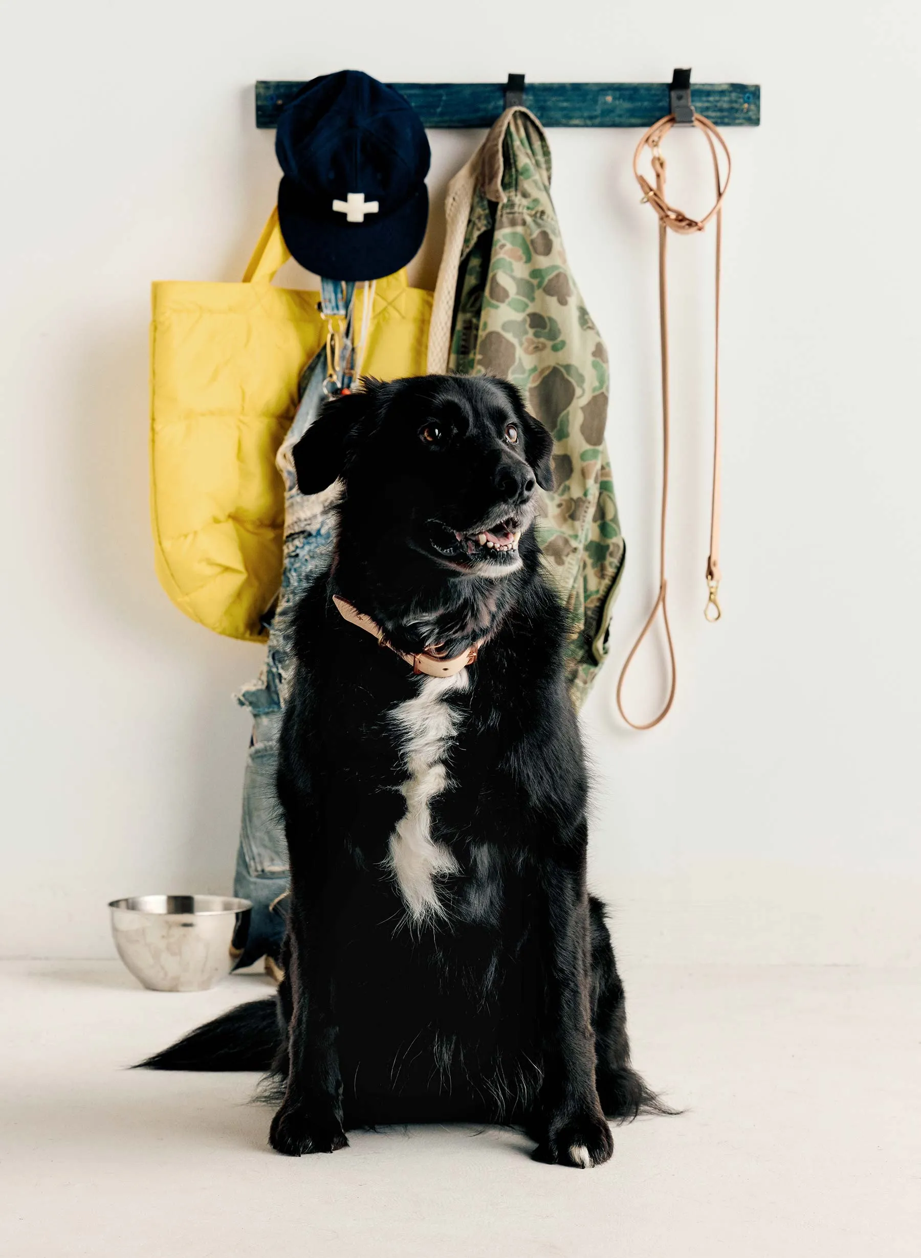 emil erwin x i+w dog leash sold by Imogene + Willie product image thumbnail 2