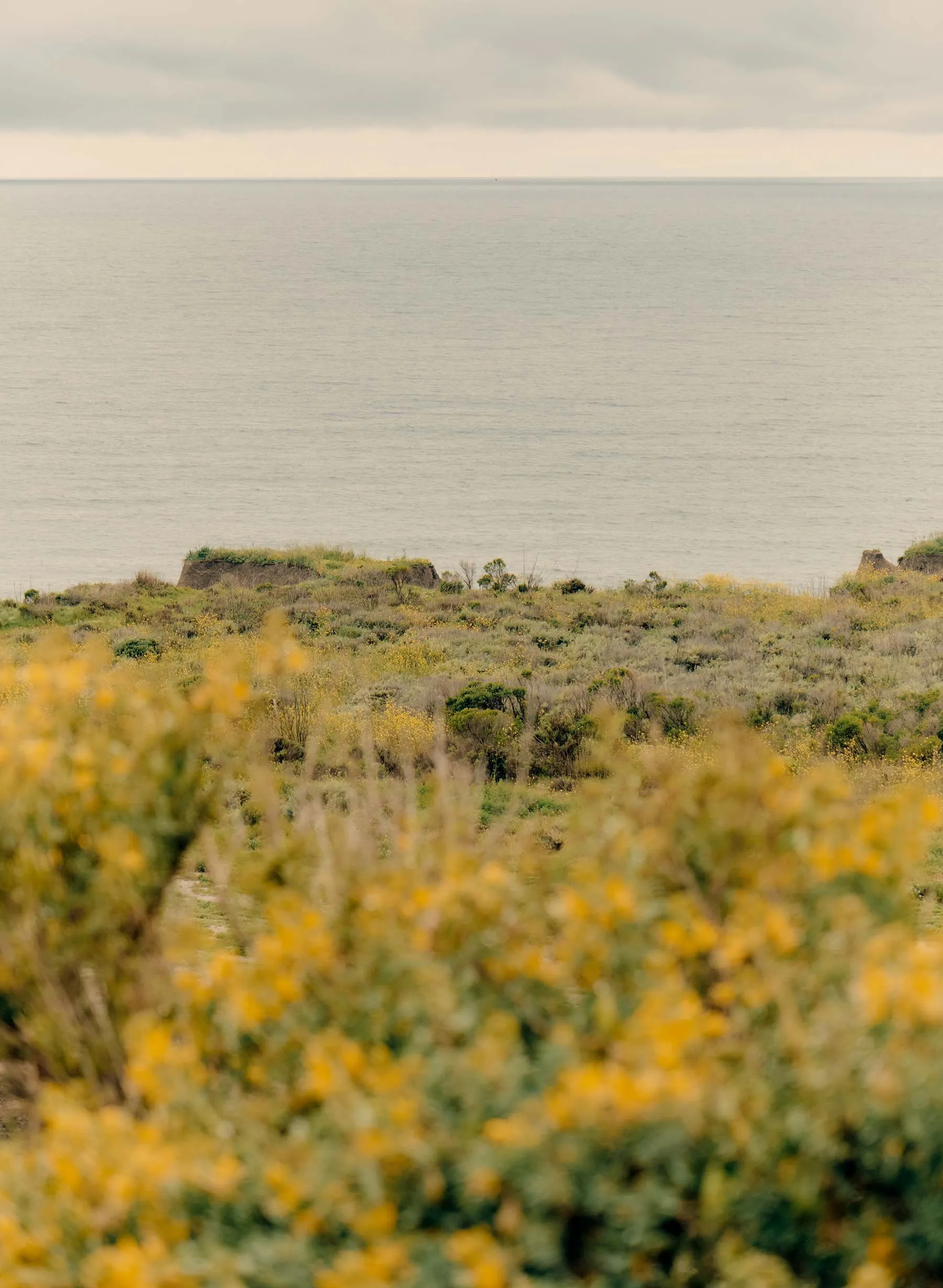 classic knit vintage white crew sold by Imogene + Willie product image thumbnail 5