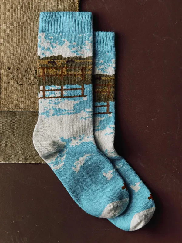 the "reflection" sock sold by Imogene + Willie