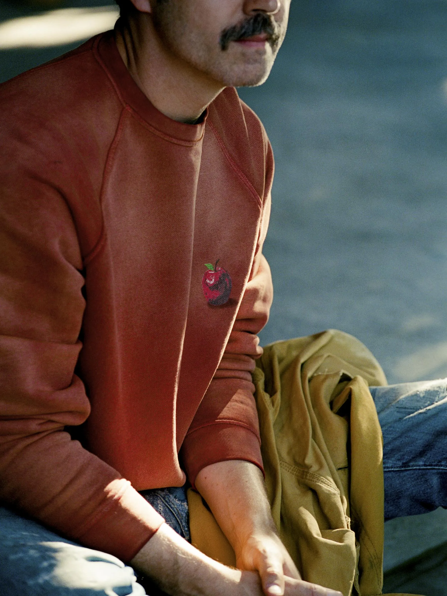 the "forbidden fruit" raglan crew sold by Imogene + Willie product image thumbnail 5