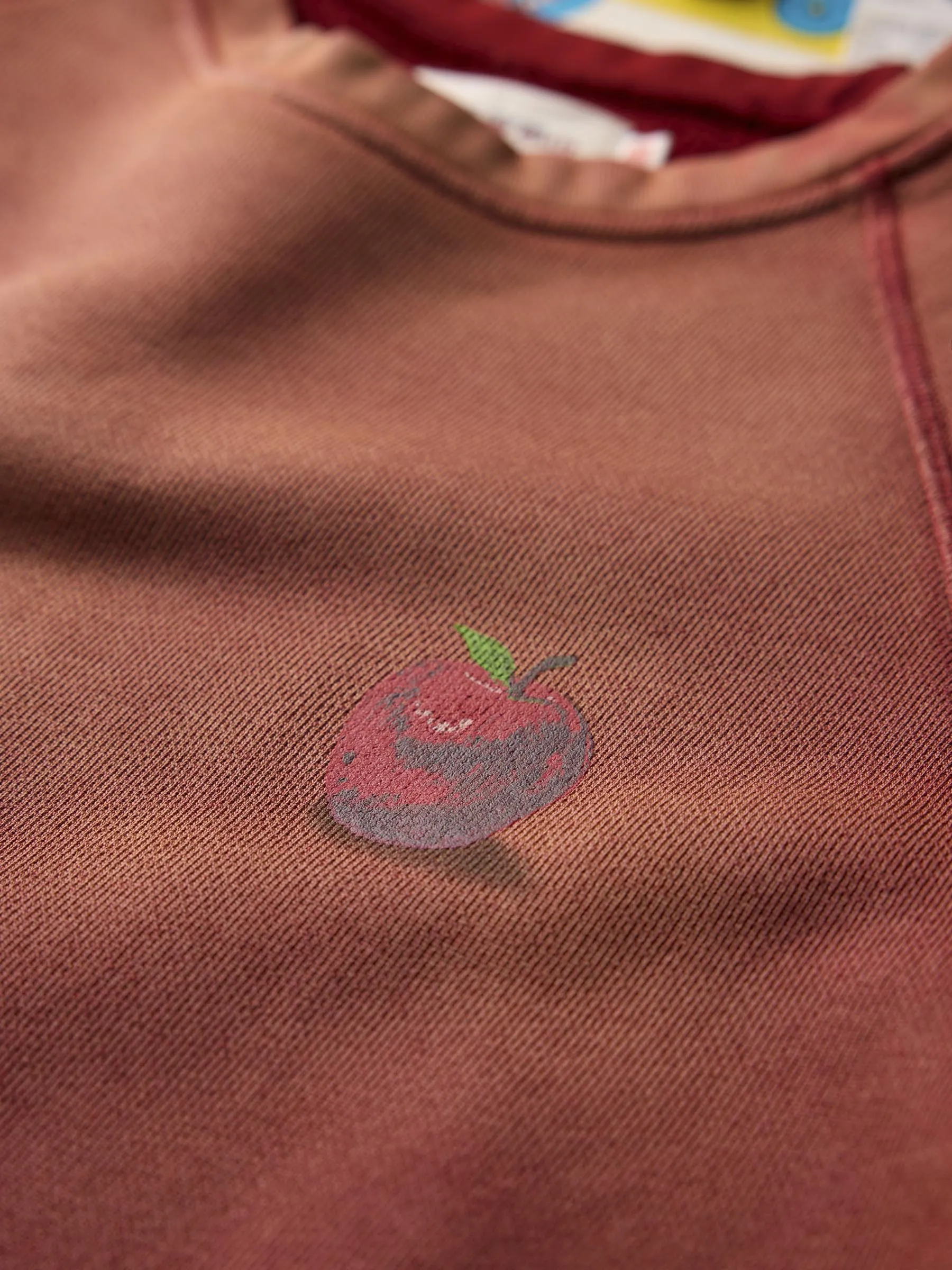 the "forbidden fruit" raglan crew sold by Imogene + Willie product image thumbnail 5