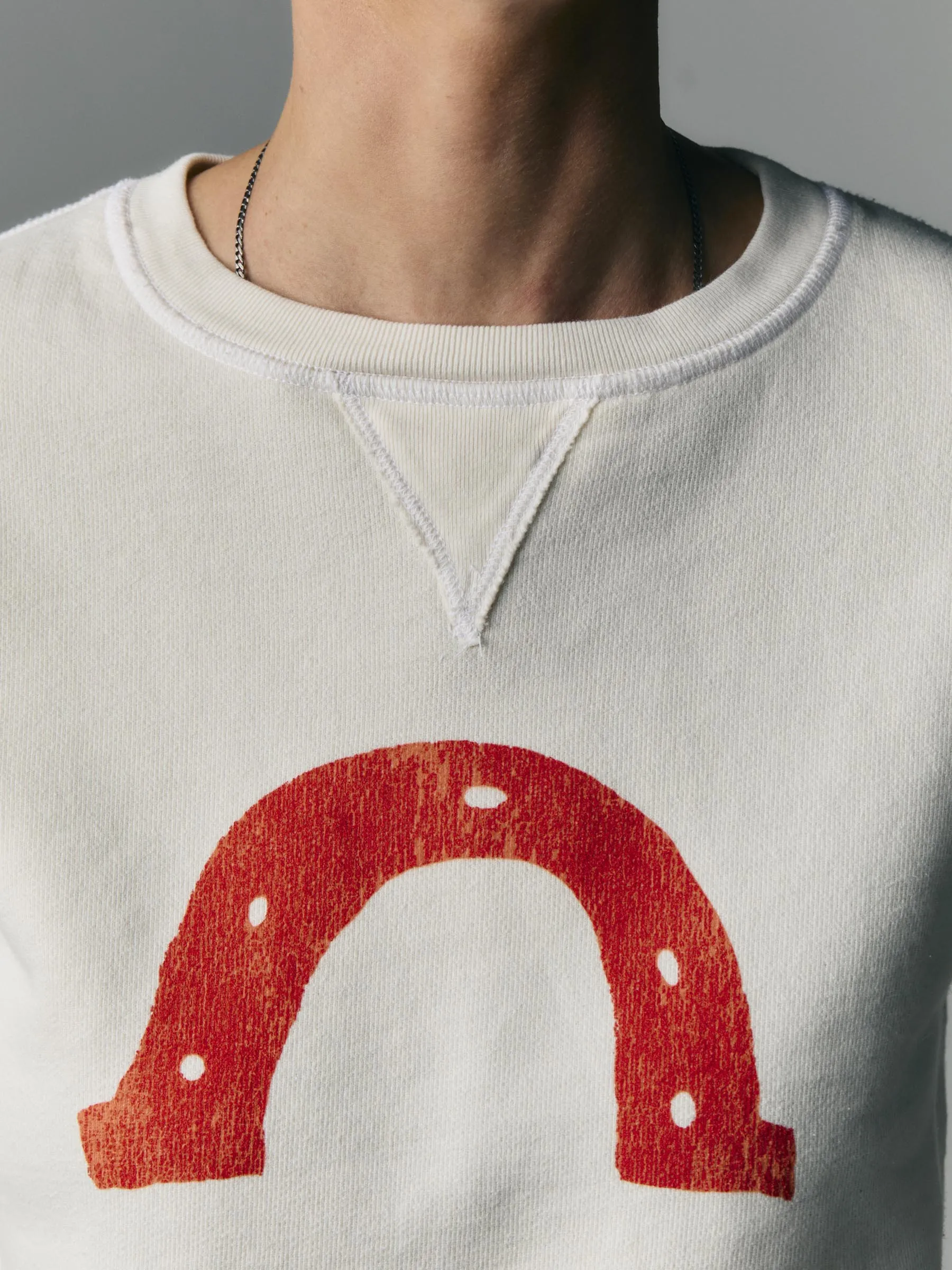 the "horseshoe" penny sweatshirt sold by Imogene + Willie product image thumbnail 5