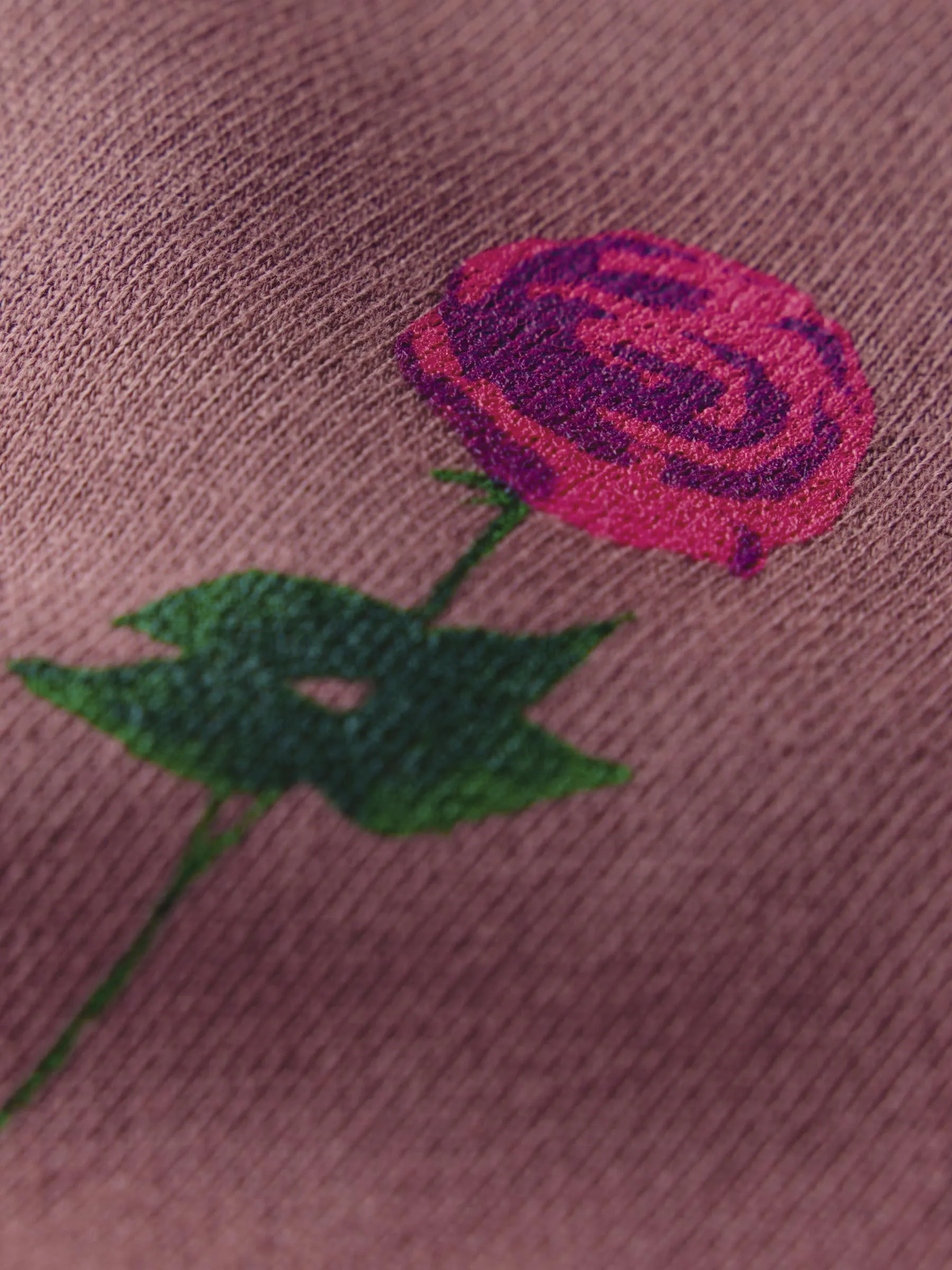 the "rose" penny sweatshirt sold by Imogene + Willie product image thumbnail 4