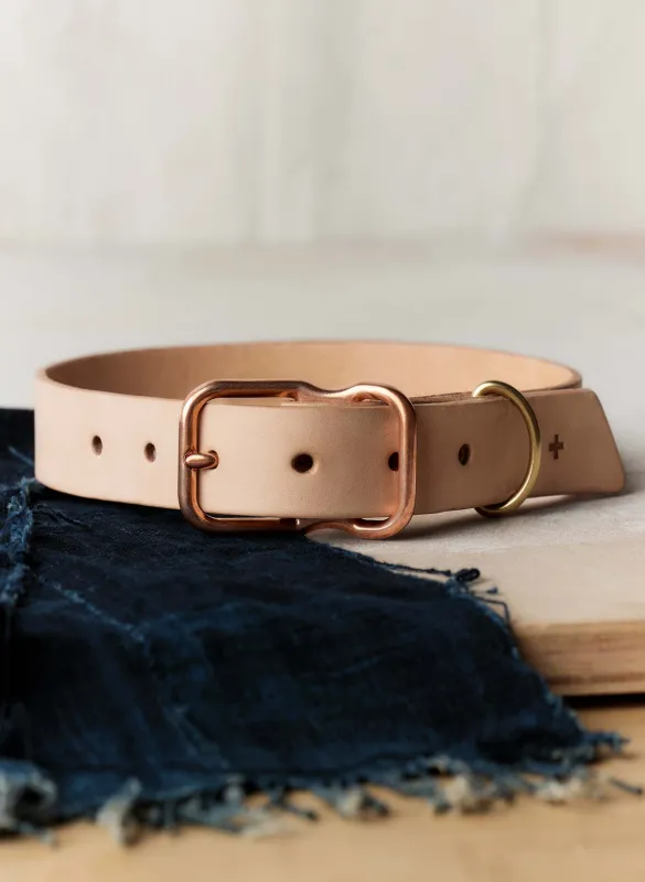 emil erwin x i+w dog collar sold by Imogene + Willie