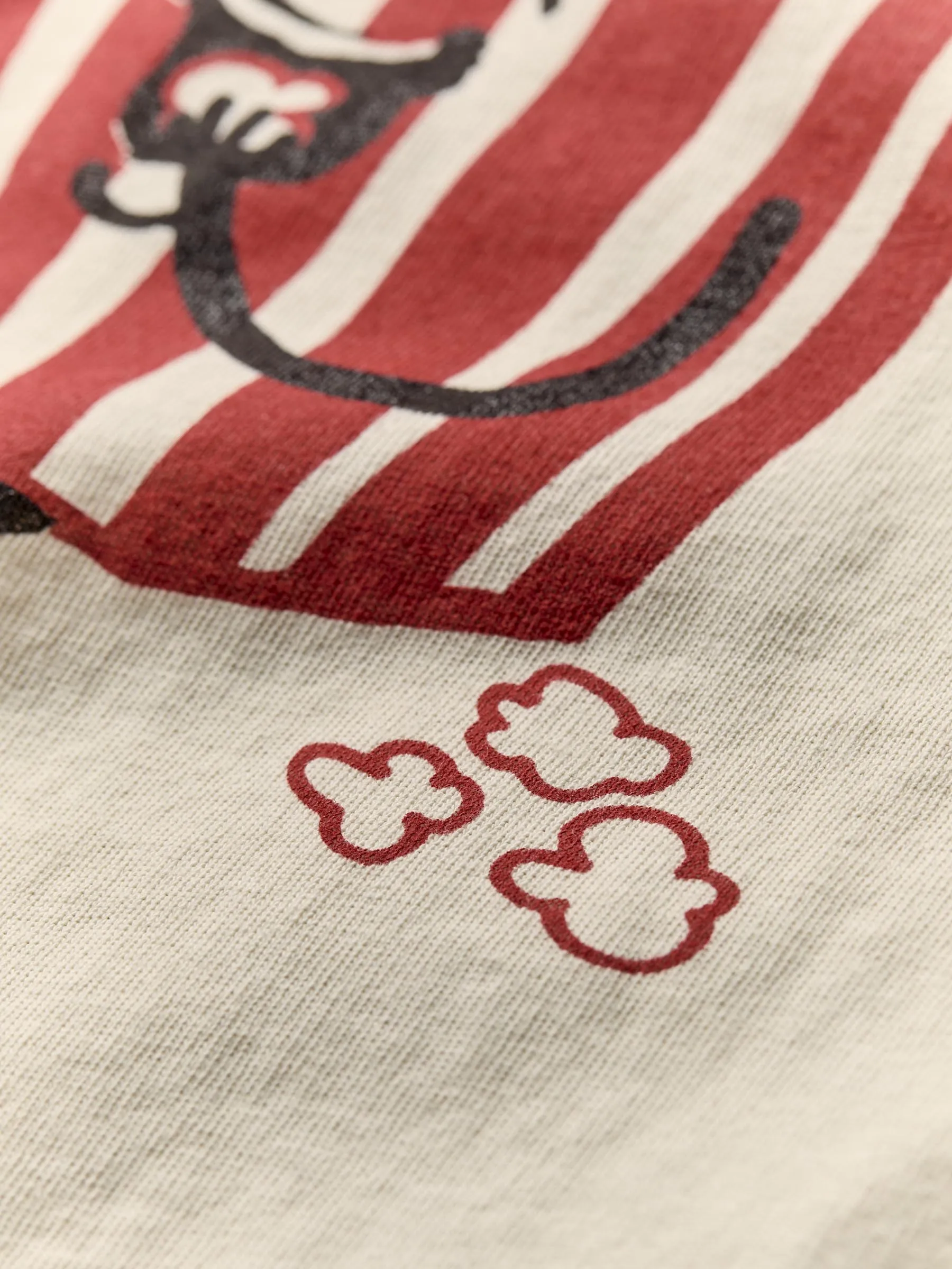 the "zanies" tee sold by Imogene + Willie product image thumbnail 4