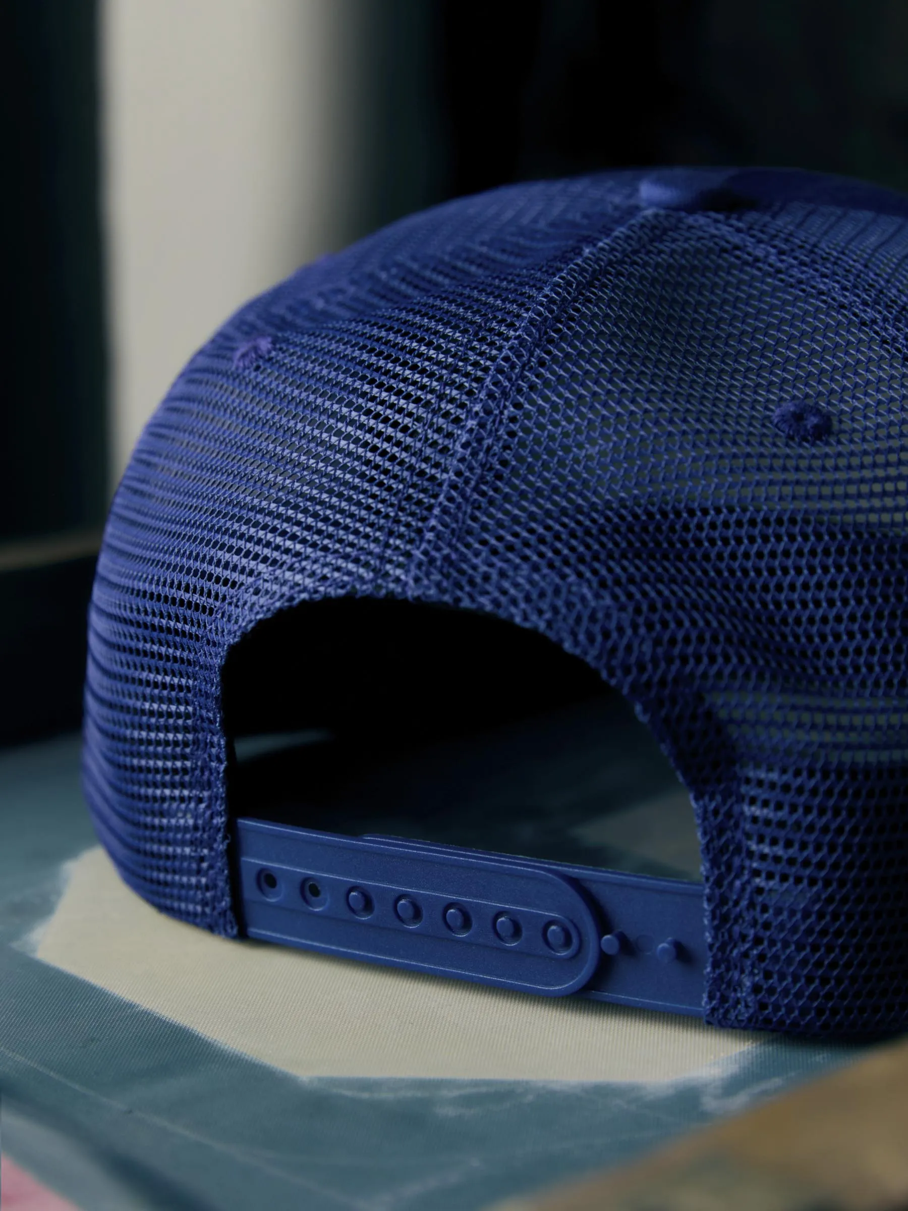 the "bonnaroo" trucker sold by Imogene + Willie product image thumbnail 5