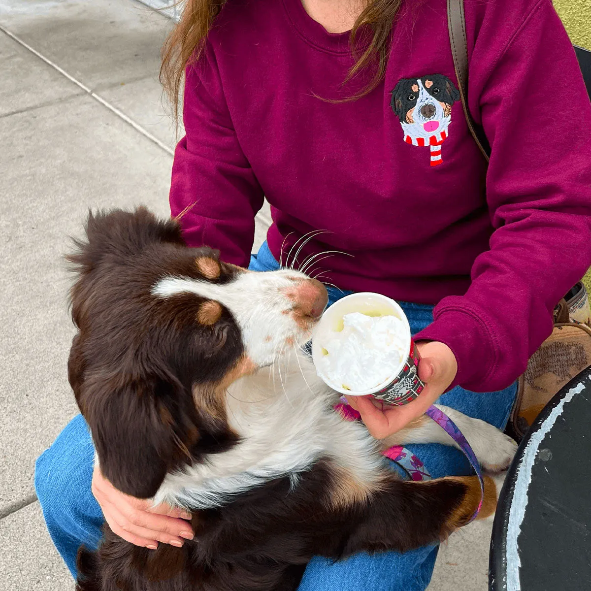 Custom Dog Life Shirt, Sweatshirt or Hoodie with Your Pet's Portrait Photo, Unique Embroidered Gift for Dog Mom Dog Dad sold by Embroly product image thumbnail 2