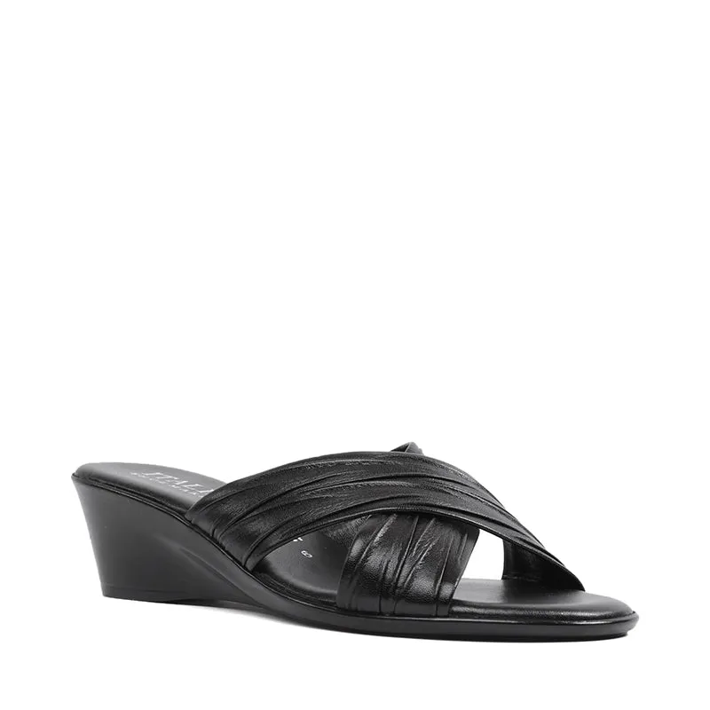 D168 sold by Rubino Shoes product image thumbnail 2