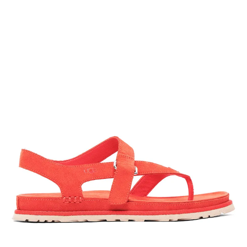 GOLDENGAZE TOE POST made by UGG