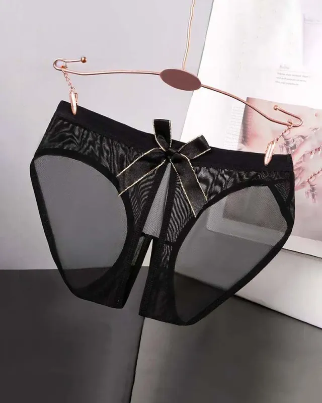 Sheer Mesh Satin Bow Panties High Cut Lingerie Briefs made by Avid Love