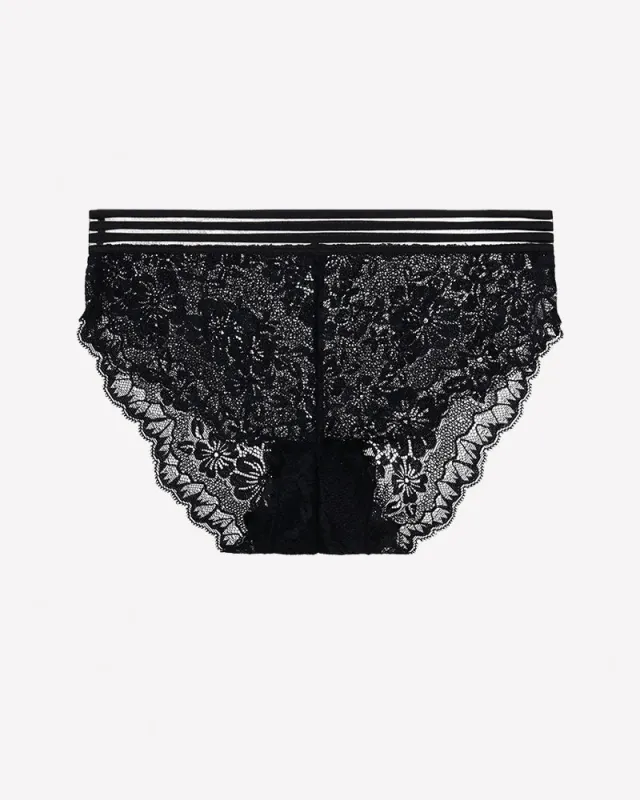 Striped Waist Floral Lace Panties - Sexy Sheer High Stretch Briefs made by Avid Love