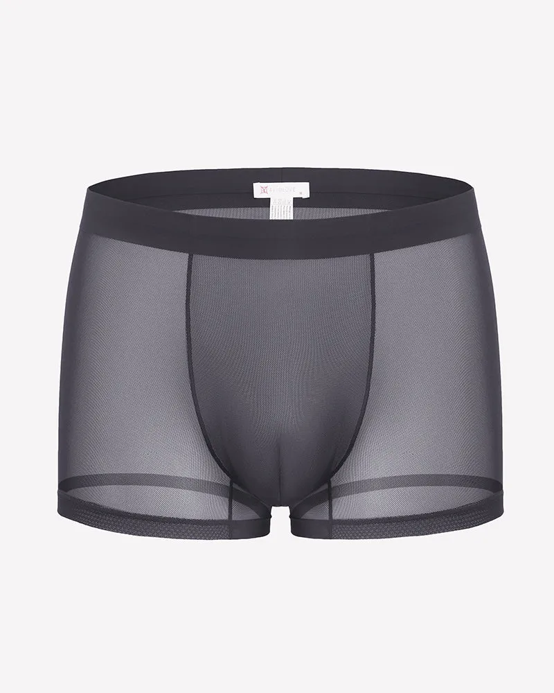 Men's Mesh Boxer Briefs Breathable Stretch Trunk Sexy Lingerie Underwear sold by Avid Love product image thumbnail 2