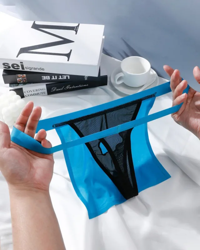 Men's Sheer G-String Thong with Satin Pouch made by Avid Love