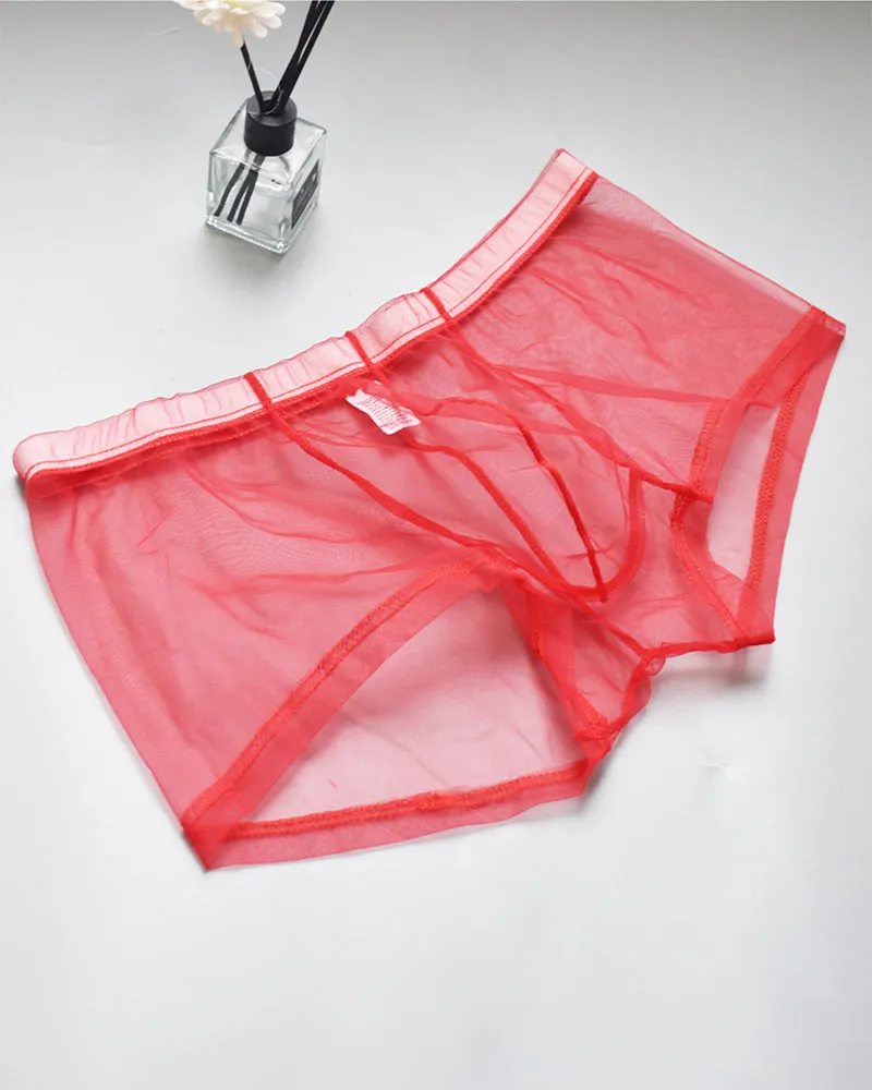 Men's Sheer Mesh Boxer Briefs sold by Avid Love product image thumbnail 4