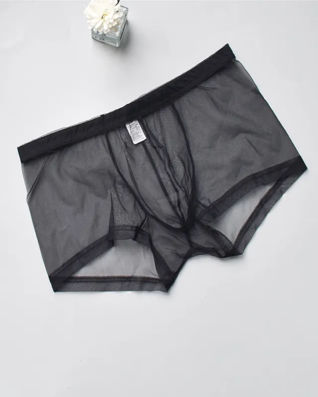Men's Sheer Mesh Boxer Briefs made by Avid Love