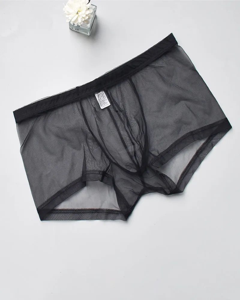 Men's Sheer Mesh Boxer Briefs sold by Avid Love