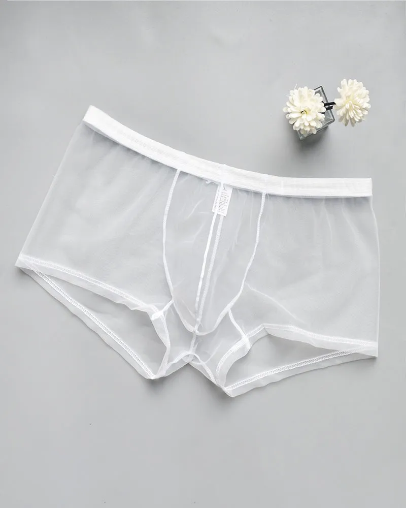 Men's Sheer Mesh Boxer Briefs sold by Avid Love product image thumbnail 5