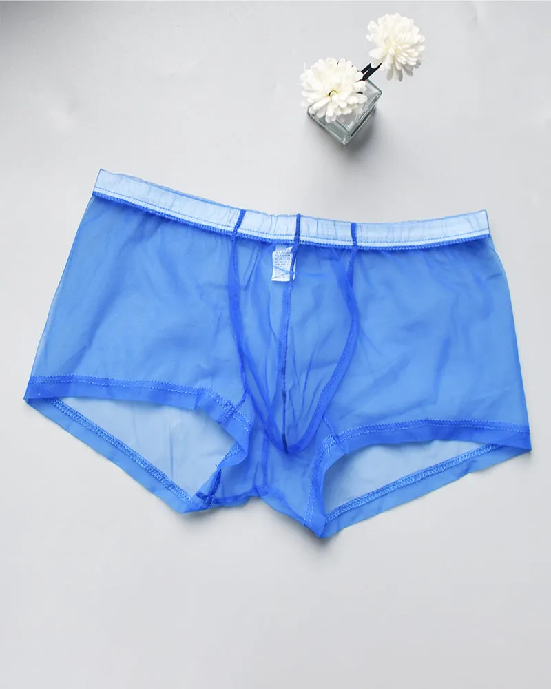 Men's Sheer Mesh Boxer Briefs sold by Avid Love product image thumbnail 2