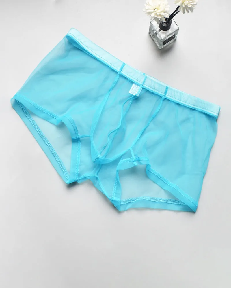 Men's Sheer Mesh Boxer Briefs sold by Avid Love product image thumbnail 3