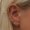 Fat Patt piercing sold by Adornmonde