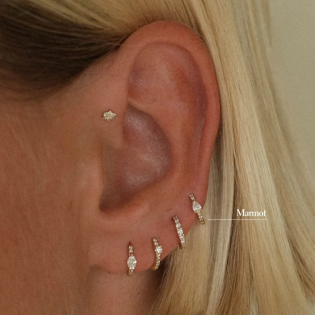 Marmot huggie piercing sold by Adornmonde product image thumbnail 2