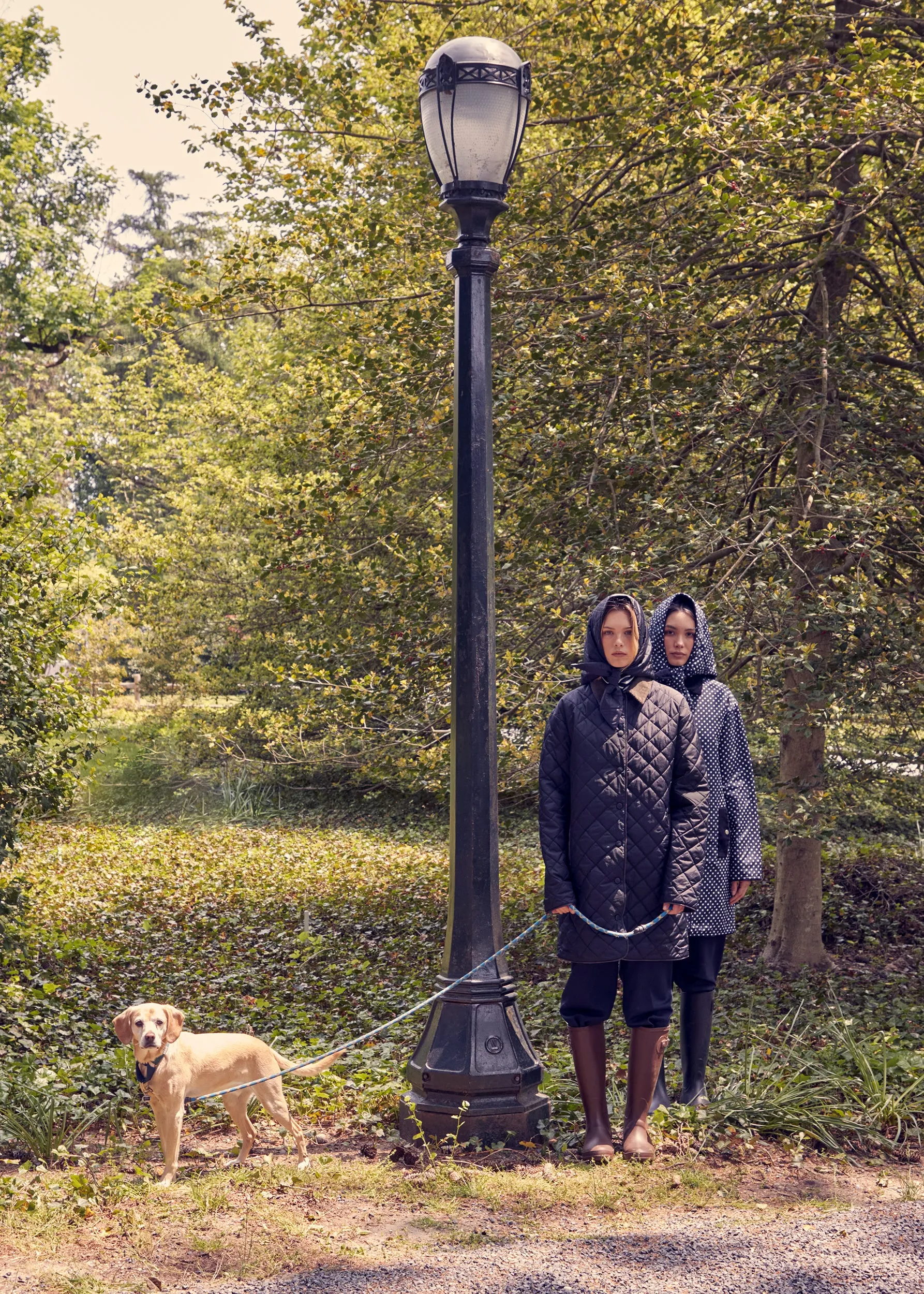 The Georgie - Black sold by Kule product image thumbnail 5