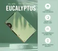 Ridge Wallet - Eucalyptus sold by The Ridge