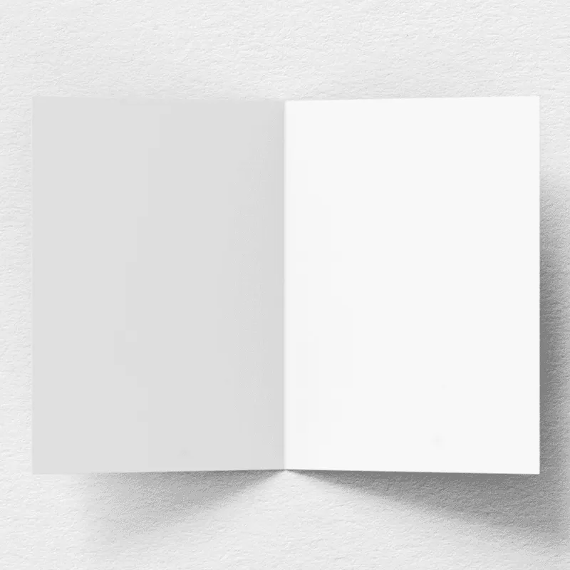 Bogg Congratulations Greeting Card sold by Bogg Bag product image thumbnail 3