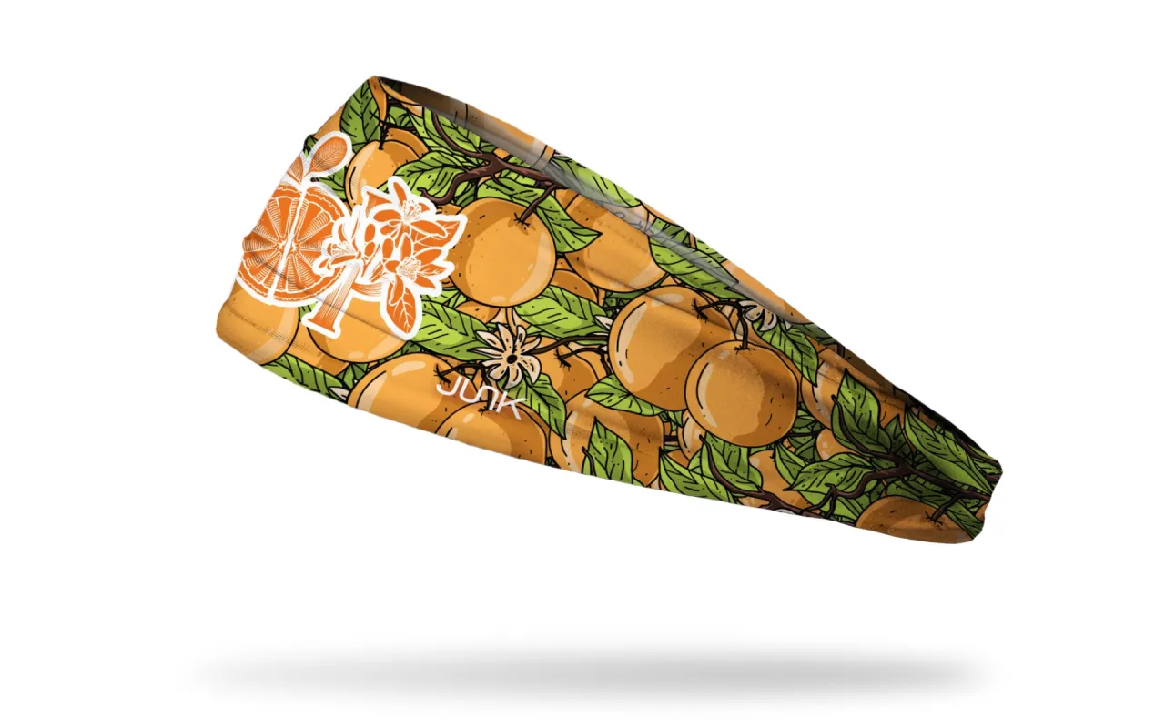 Orlando Pride: Citrus Big Bang Lite Headband sold by JUNK Brands