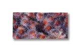 Artful Anemone Big Bang Lite Headband sold by JUNK Brands