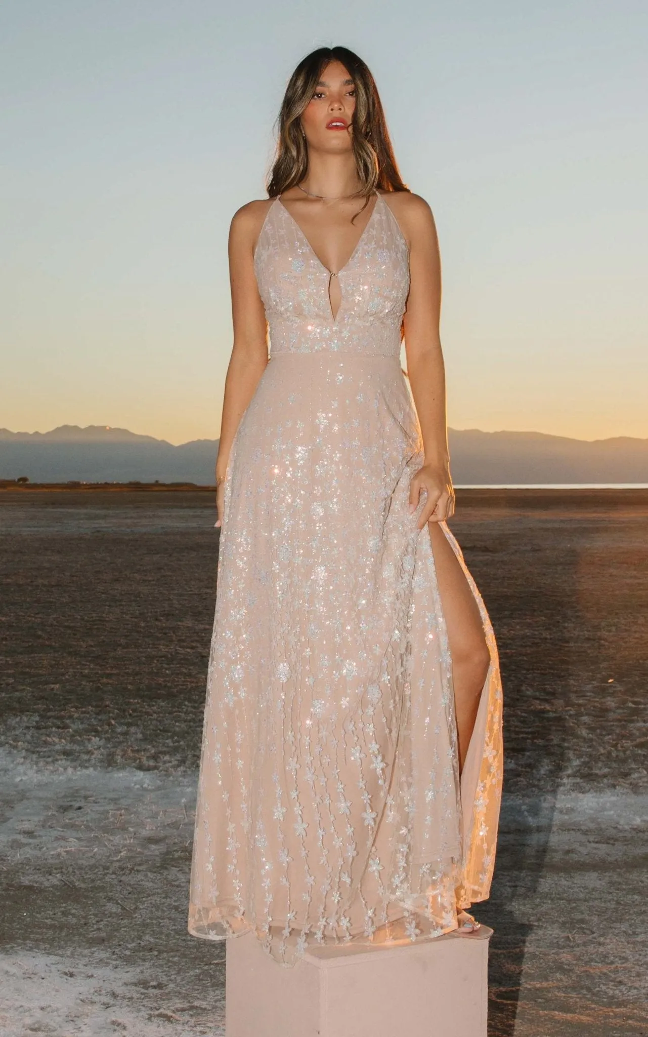 Tiara Sequin Gown | Nude Champagne sold by Baltic Born product image thumbnail 5