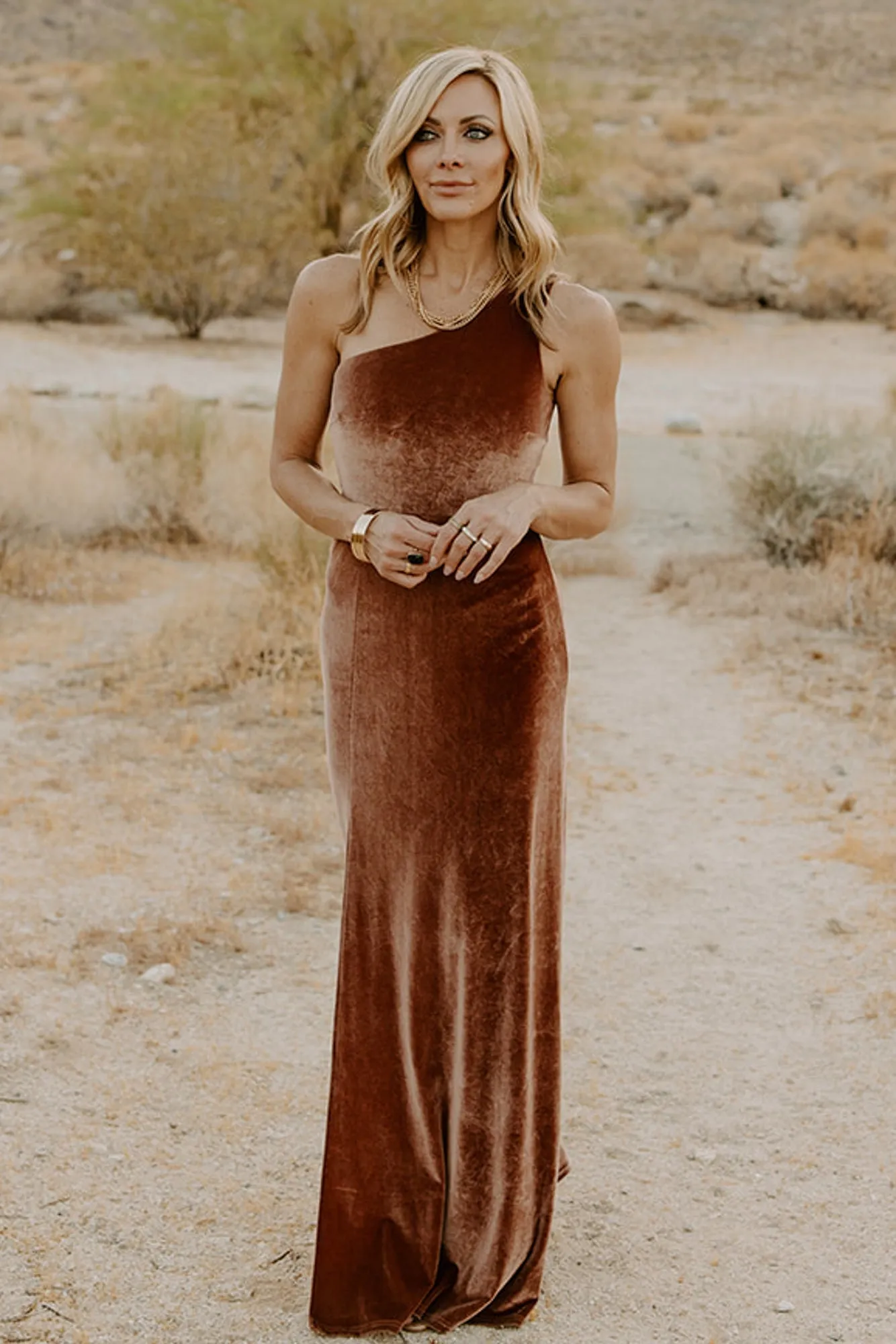 Tatiana Velvet One Shoulder Maxi Dress | Bronze sold by Baltic Born